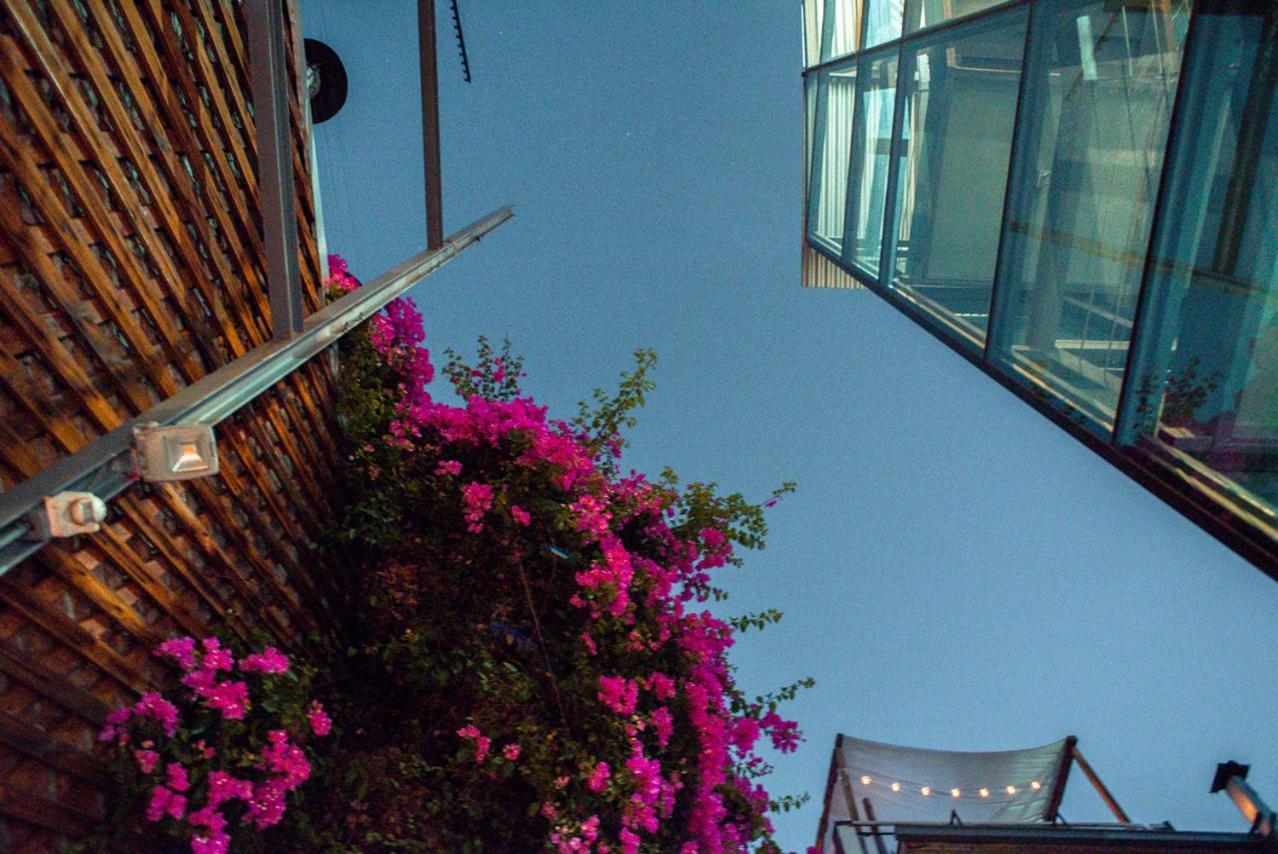 Bella 269 Guest House Santiago Exterior photo